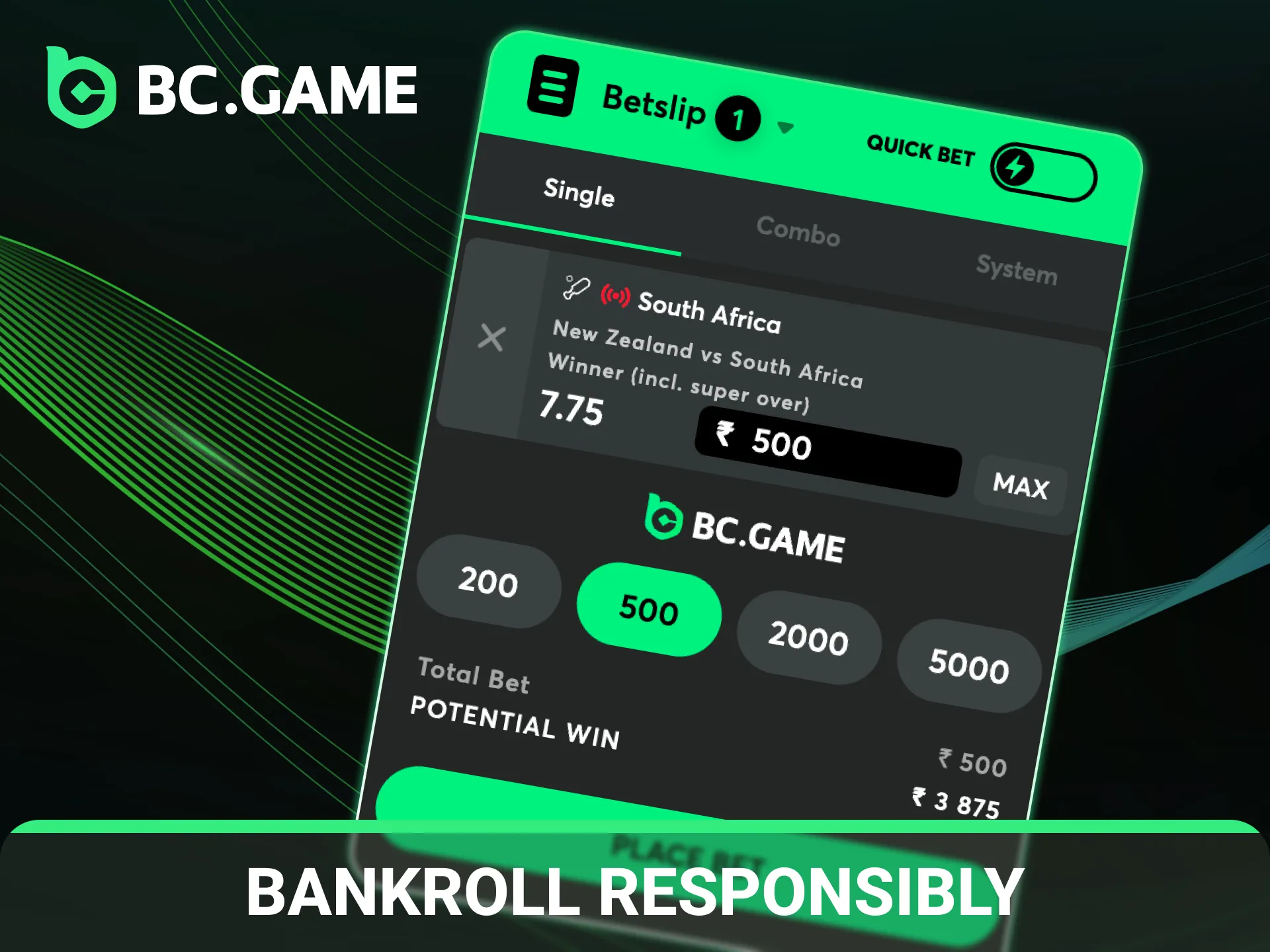 Manage your bankroll responsibly while enjoying BC Game cricket matches.
