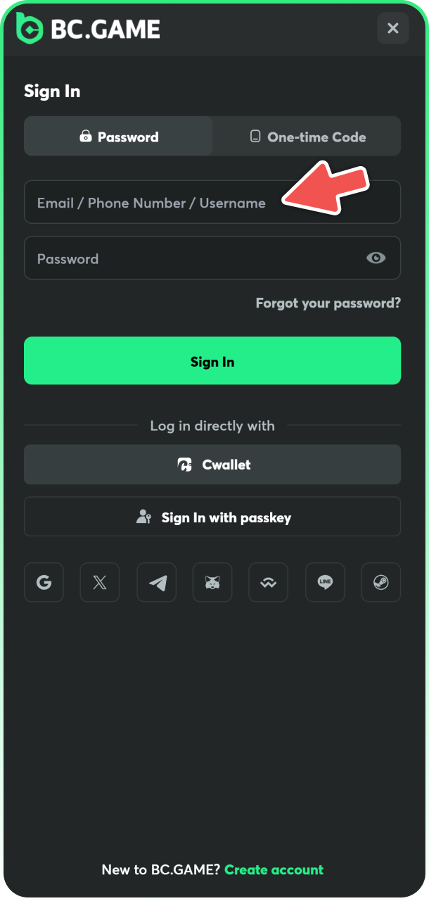 Type in your account details to login and start playing at BCGame.