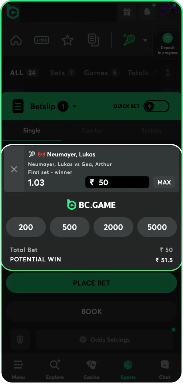 Enter your stake amount in the bet slip to start BC Game playing.