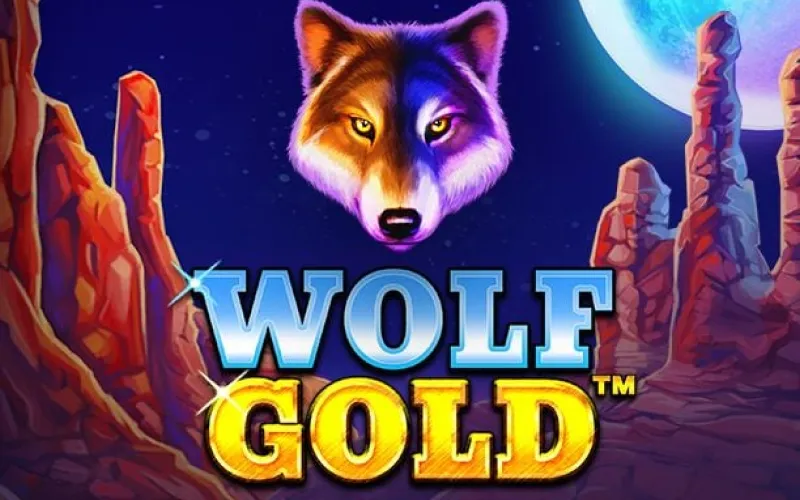 Spin the reels of the popular Wolf Gold slot at BC Game India.