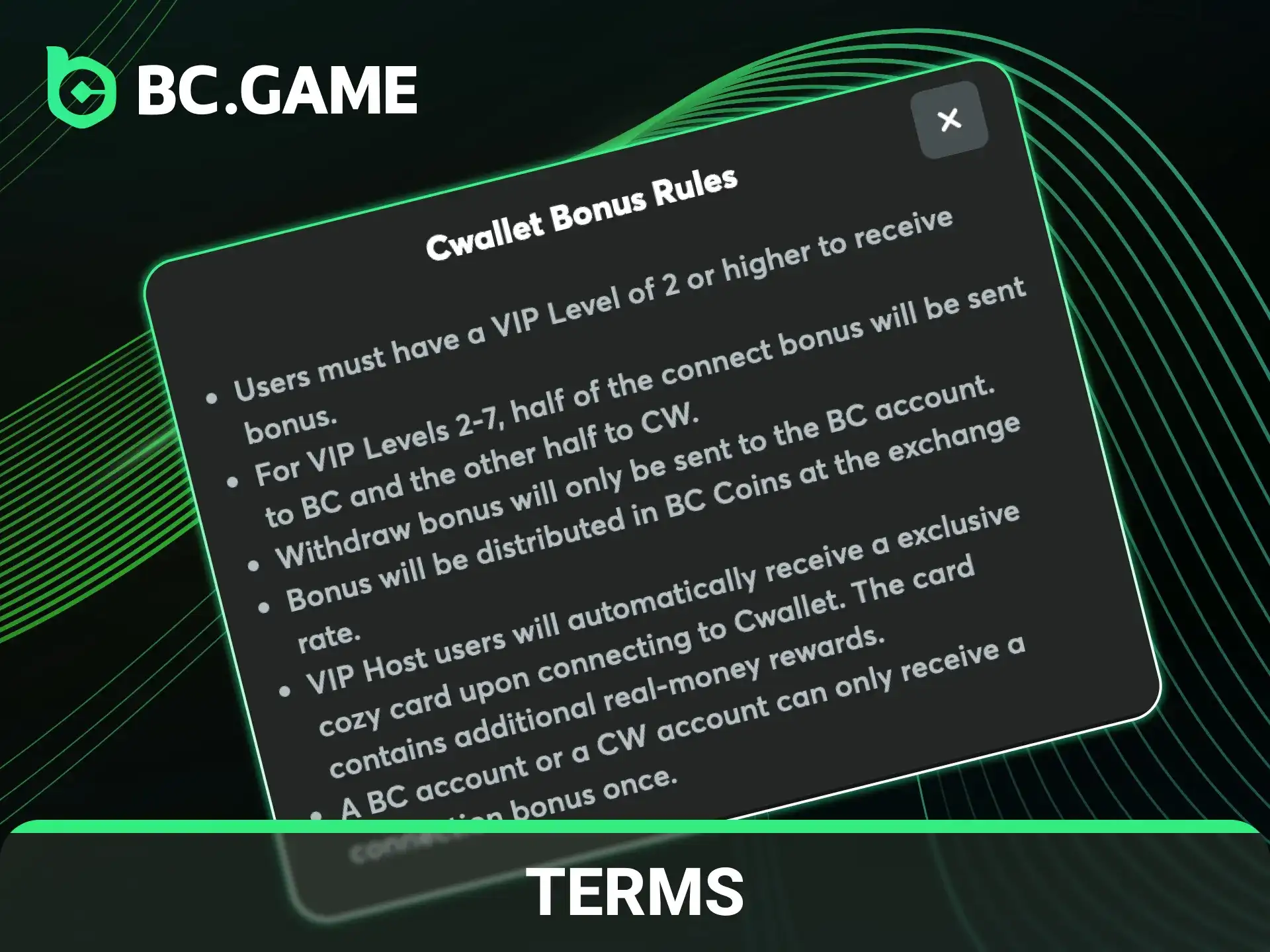 Review the bonuses and promotions terms on the BC Game website.